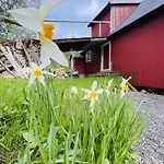 Lofoten View Skokkelvika *