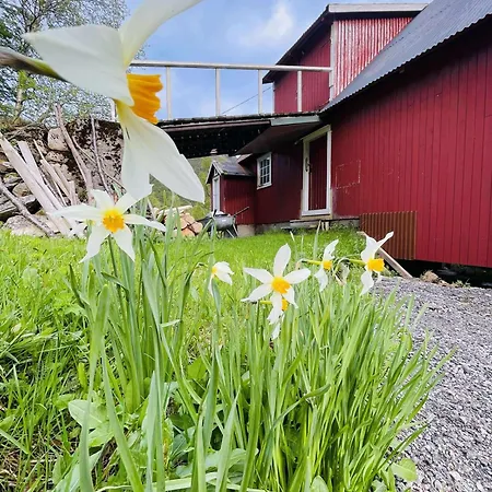 Lofoten View Skokkelvika *