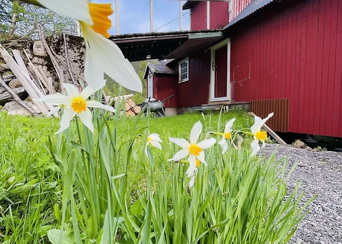Lofoten View Skokkelvika *